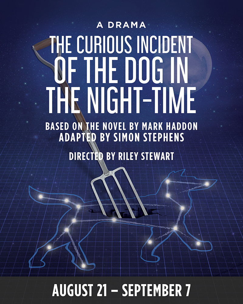 The Curious Incident of the Dog in the Night-Time